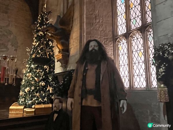 11月嘅時候去咗日本嘅哈利波特影城，呈現返電影嘅場景