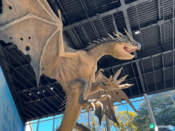 11月嘅時候去咗日本嘅哈利波特影城，呈現返電影嘅場景