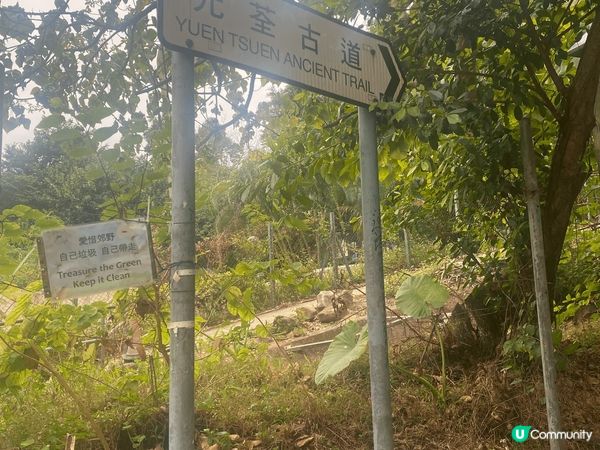 春遊好去處，能夠俯瞰荃灣景色，對行山新手非常友好的行山路線