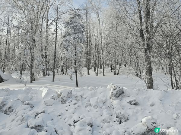 哈爾濱嘅靚雪景