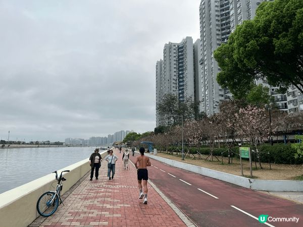 春天來臨，就係開始練習龍舟嘅季節！
