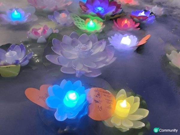 鸭脷洲洪聖傳統文化節放水燈