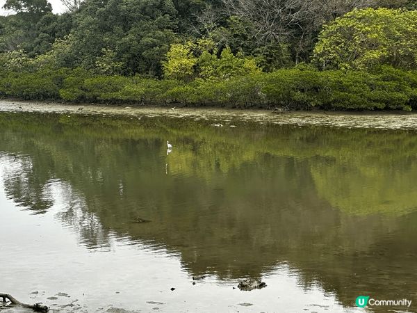 都市寧靜嘅一角⋯⋯沙頭角