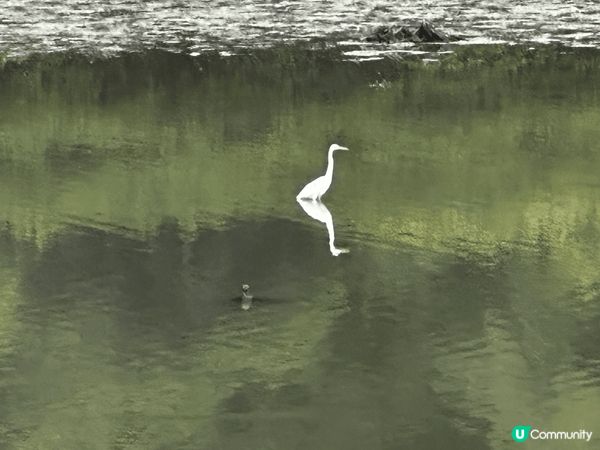 都市寧靜嘅一角⋯⋯沙頭角