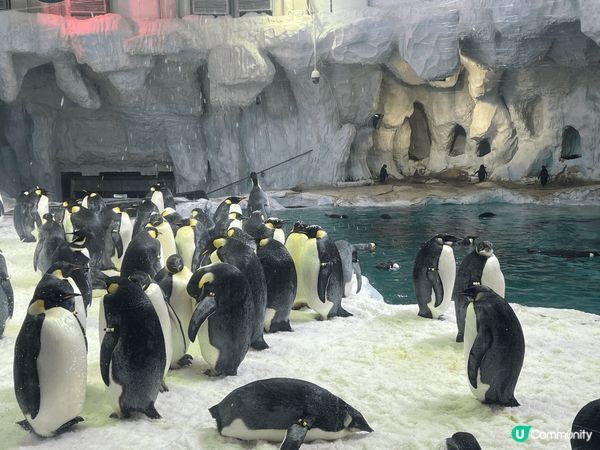 珠海長隆度假園區，簡直係親子旅行嘅聖地之一，海洋王國、飛船樂...