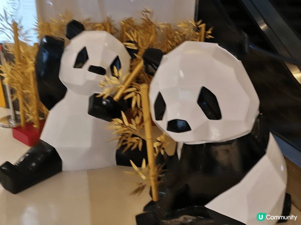 香港飲茶都唔錯