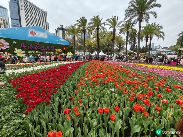 #我想周圍去旅行