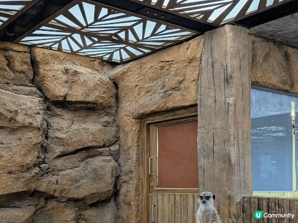 靚靚散水餅再去海洋公園