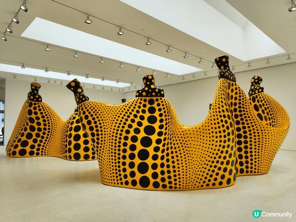 日本前衛藝術家草間彌生嘅美國個人展覽以「無限」為主題，展出佢...