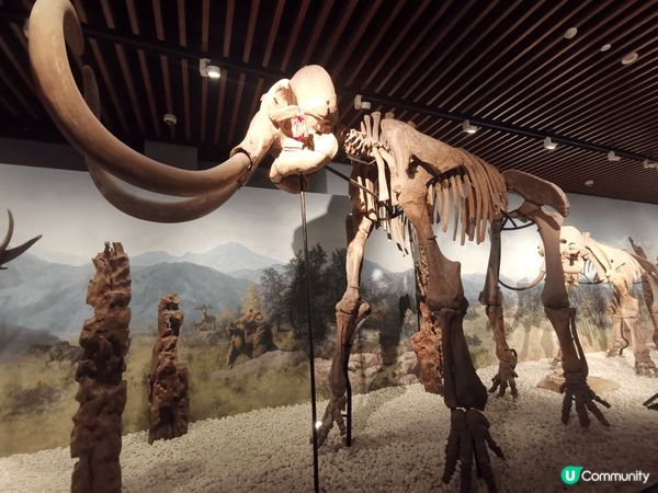 20250311 南京+揚州