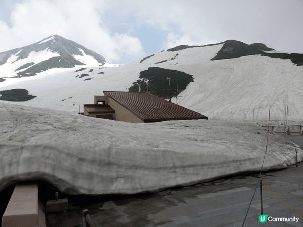 日本立山黑部是一個很值得去旅遊打卡的地方，整個山頭都佈滿冰雪...