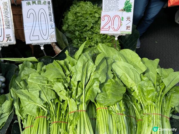 每次去旅行，我總會留下一天時間漫無目的咁行當地傳統市場或超級...