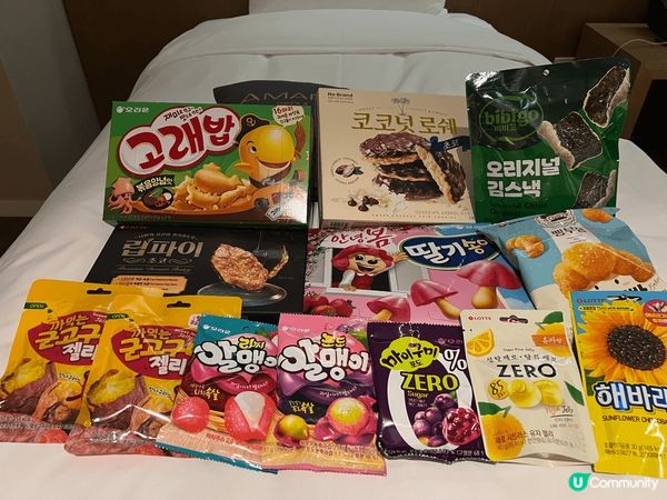 這次是過年全家人的旅行，地點是韓國的首都：首爾，去這次旅行非...