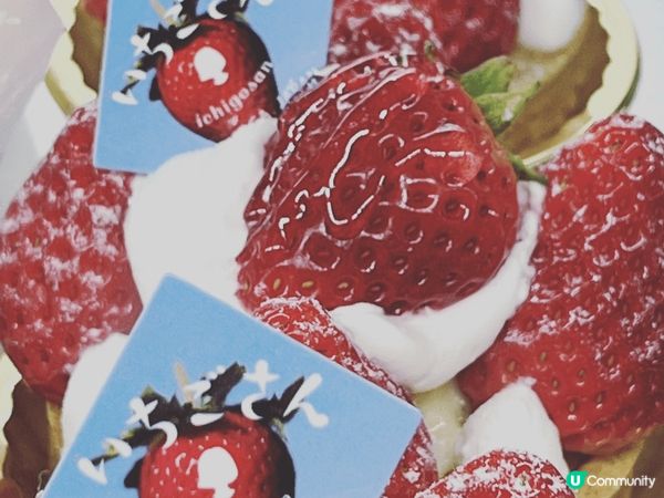 士多啤梨係我嘅至愛，佢嘅所有產物，我都唔可以錯過！士多啤梨蛋...