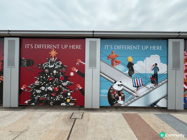 可愛的「DIM SUM SQUAD」🥰