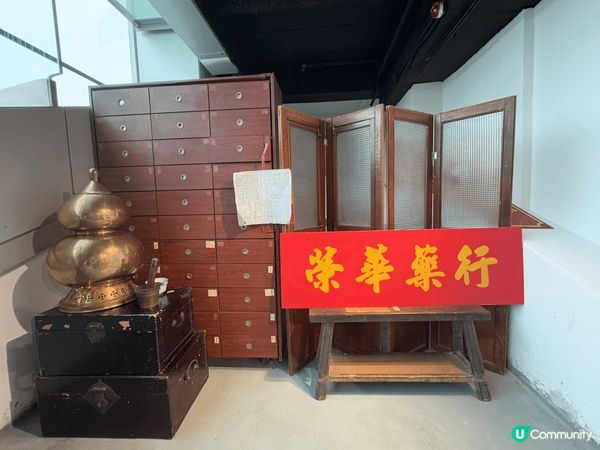 可愛的「DIM SUM SQUAD」🥰