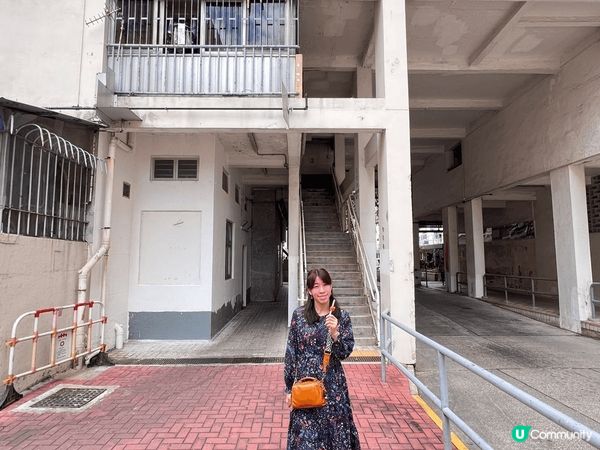 《彩虹邨打卡狂熱》