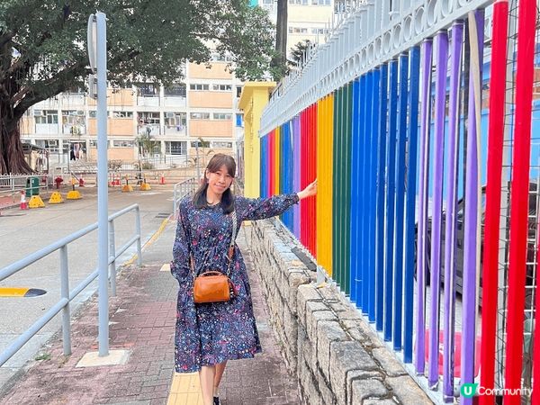 《彩虹邨打卡狂熱》