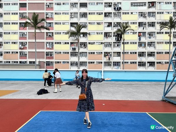 《彩虹邨打卡狂熱》