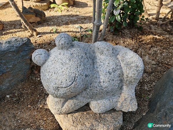 日本有很多寺廟都有不同主角，之前去過的有招財貓、達摩等，今次...