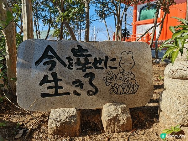日本有很多寺廟都有不同主角，之前去過的有招財貓、達摩等，今次...