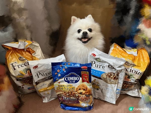 疫情後終於可以去旅行，第一次同伴侶夾到時間一齊去日本，其中一...