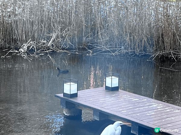 冬日的北海道永遠是令人一去難忘！新鮮的海鮮、浪漫的雪景、令人...