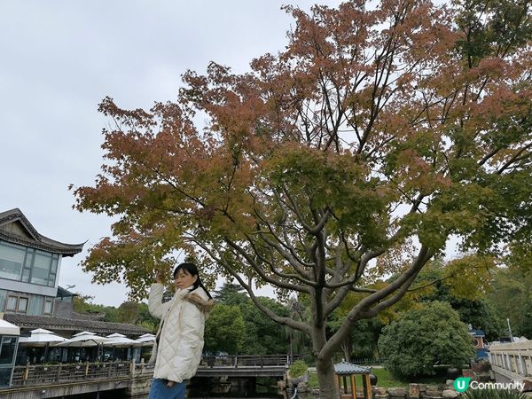 這是上海之旅,同家人去,今次住深坑酒店,真是令我大開眼界,酒...