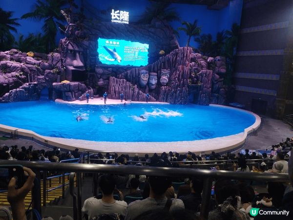 珠海海洋王國是亞洲頂級海洋主題樂園，擁有世界最大的水族館、精...