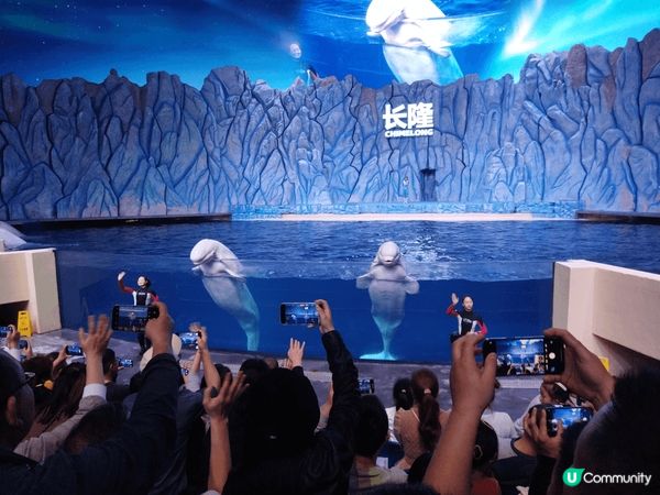 珠海海洋王國是亞洲頂級海洋主題樂園，擁有世界最大的水族館、精...