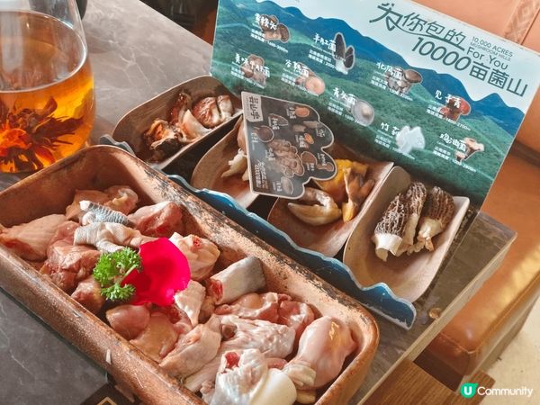 🍲深圳芸山季火鍋！鮮到爆的菌菇雞湯🔥