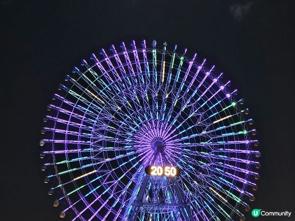 日本2025年3月東京櫻花，仲有橫濱摩天輪~ 屬於海邊的城市...