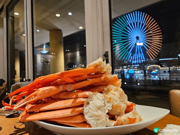 日本2025年3月東京櫻花，仲有橫濱摩天輪~ 屬於海邊的城市...