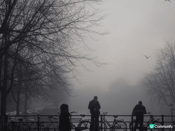 阿姆斯特丹係一個集合藝術、文化同創意嘅地方，唔單止係旅遊景點...