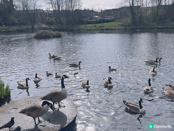 去咗英國曼城旅行，三月係一個非常好嘅季節，天氣好有櫻花天氣溫...