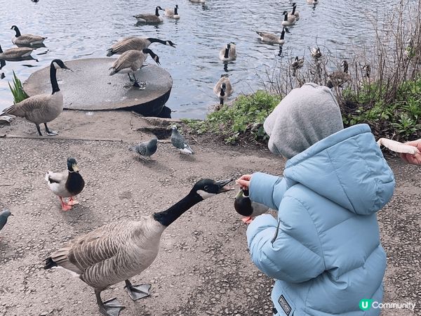 去咗英國曼城旅行，三月係一個非常好嘅季節，天氣好有櫻花天氣溫...