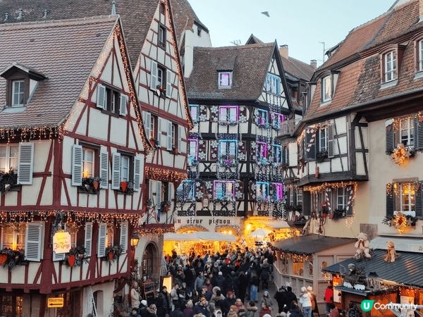 德國聖誕市集之旅✈️,一行人浩浩蕩蕩飛往德國感受一個真正嘅白...