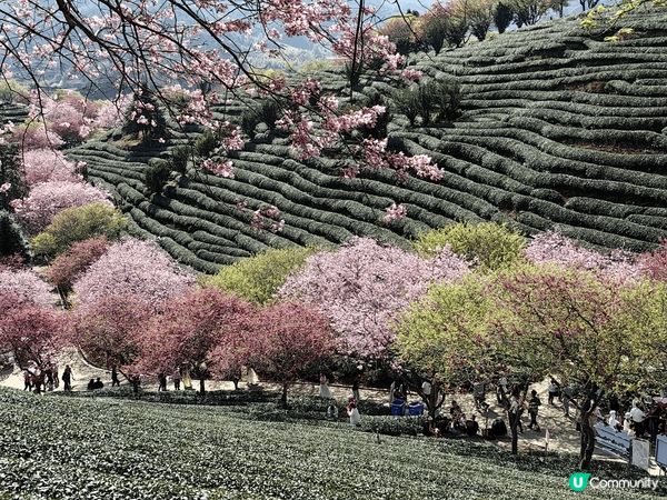 福建永定天子溫泉三日兩夜，酒店自助早餐豐富，溫泉設施齊備，有...