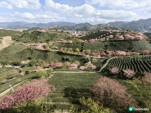 福建永定天子溫泉三日兩夜，酒店自助早餐豐富，溫泉設施齊備，有...