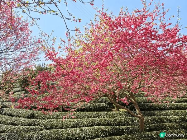 福建永定天子溫泉三日兩夜，酒店自助早餐豐富，溫泉設施齊備，有...