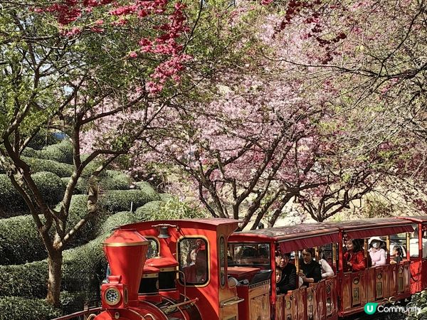 福建永定天子溫泉三日兩夜，酒店自助早餐豐富，溫泉設施齊備，有...