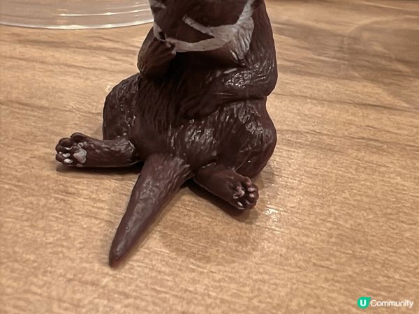 新年同呀仔去大阪玩～估唔到佢咁鐘意⋯扭蛋😂😂扭晒表姐鐘意嘅水...