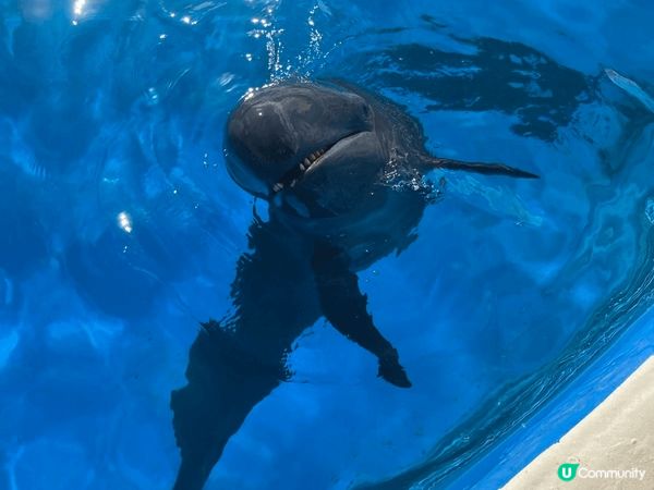 今次我哋一家五口去咗沖繩旅行！鍾意Pokemon嘅我哋梗係去...