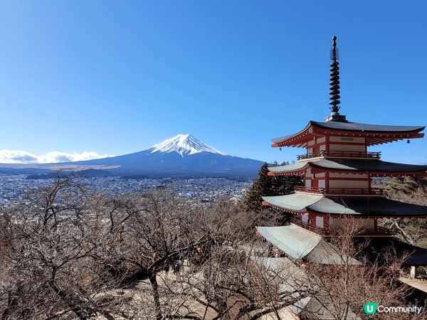 河口湖4日3夜之行，在藍天白雲下，讓我有機會從多角度欣賞到富...