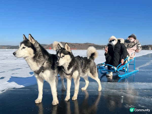 因為未見過落雪，加上之前睇嘅地方，一係就係我出發前落雪，一係...
