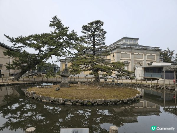 京都宇治特色宇治抹茶烏冬，