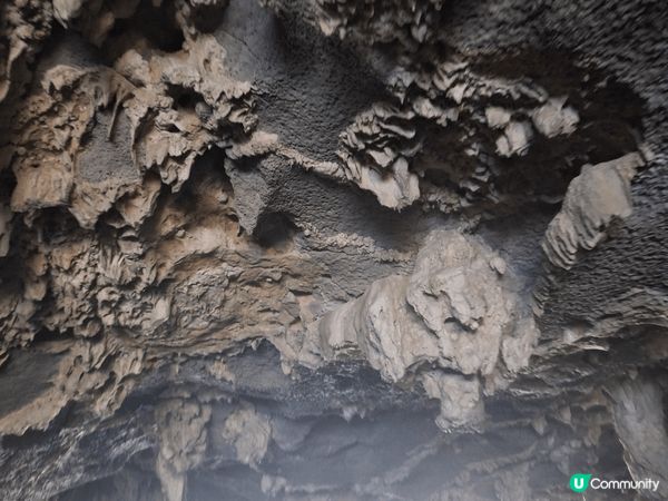 嗰次去下龍灣，我哋參加咗一日遊，真係好精彩！一早就有旅遊巴嚟...