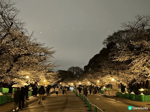 東京上野公園，傳統嘅櫻花季節最佳嘅觀賞地點就係上野公園，尤其...
