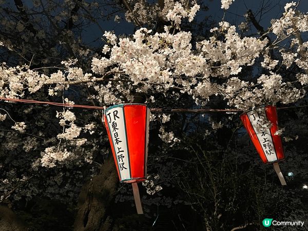 東京上野公園，傳統嘅櫻花季節最佳嘅觀賞地點就係上野公園，尤其...