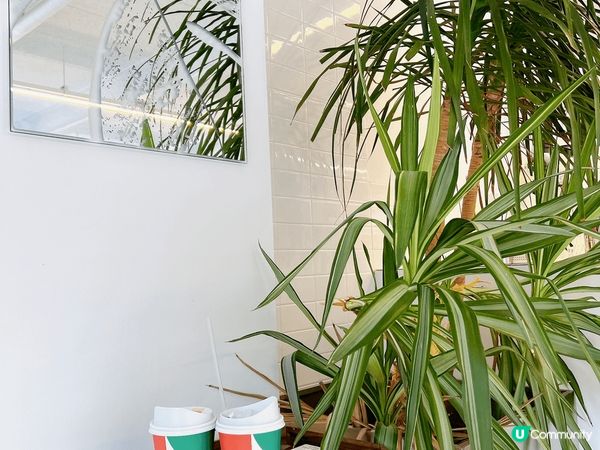 韓國自由行邊度地方，少不免飲飲食食🤭😍